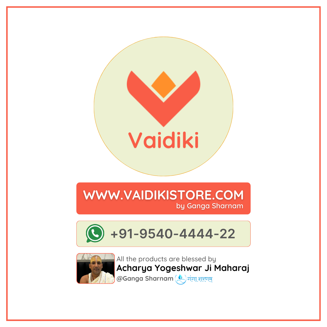 2 Mukhi Himalayan Rudraksha (Big Size)- Emotional & Relationship Harmony