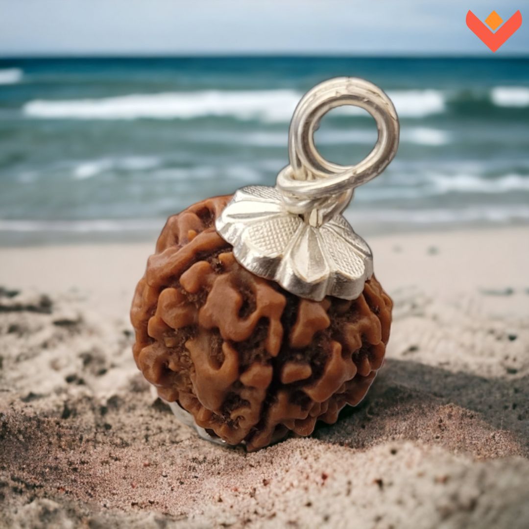 Natural 5 Mukhi Rudraksha Bead – Original Nepali | Spiritual Tool for Protection, Balance, and Growth