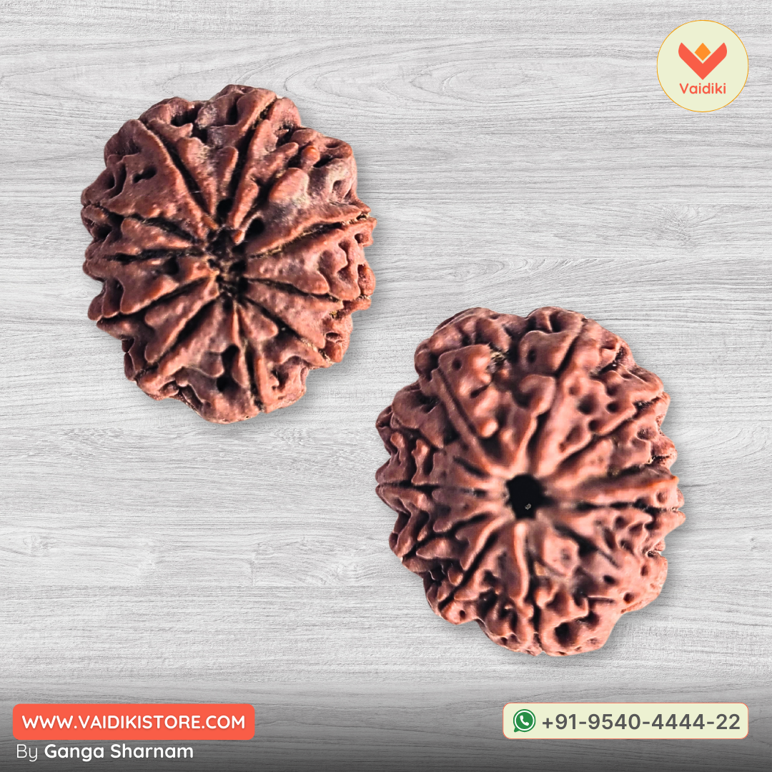 11 Mukhi Rudraksha Bead – Original Nepal Origin | For Spiritual Growth, Protection, and Divine Blessings