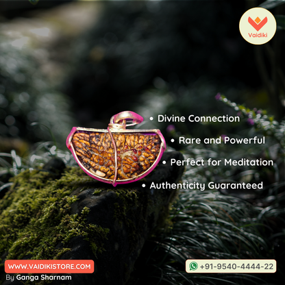 Genuine 1 Mukhi Rudraksha Bead with Lab Certificate | Spiritual Tool for Healing and Divine Connection