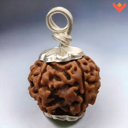 Natural 5 Mukhi Rudraksha Bead – Original Nepali | Spiritual Tool for Protection, Balance, and Growth