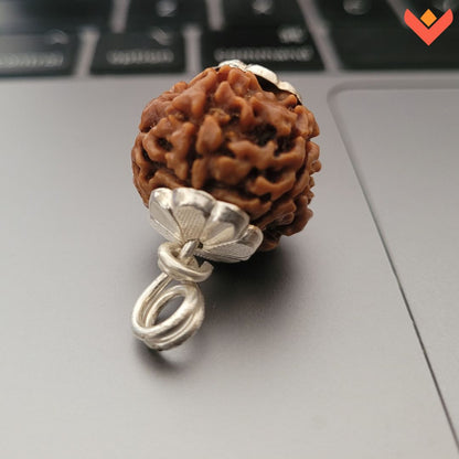 Natural 5 Mukhi Rudraksha Bead – Original Nepali | Spiritual Tool for Protection, Balance, and Growth