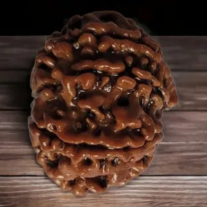 Authentic 7 Mukhi Rudraksha Bead (Nepal Origin) | Enhance Spiritual Balance and Attract Prosperity