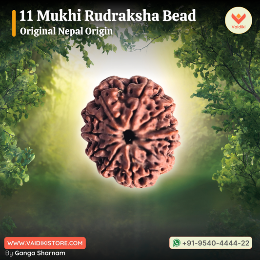 11 Mukhi Rudraksha Bead – Original Nepal Origin | For Spiritual Growth, Protection, and Divine Blessings