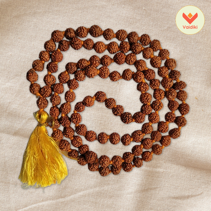 Mukhi Rudraksha Mala (108 Beads) For Meditation Mantra